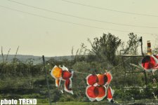 Azərbaycanın tanınmış mügənnisinin yol əhvalatı (FOTO)